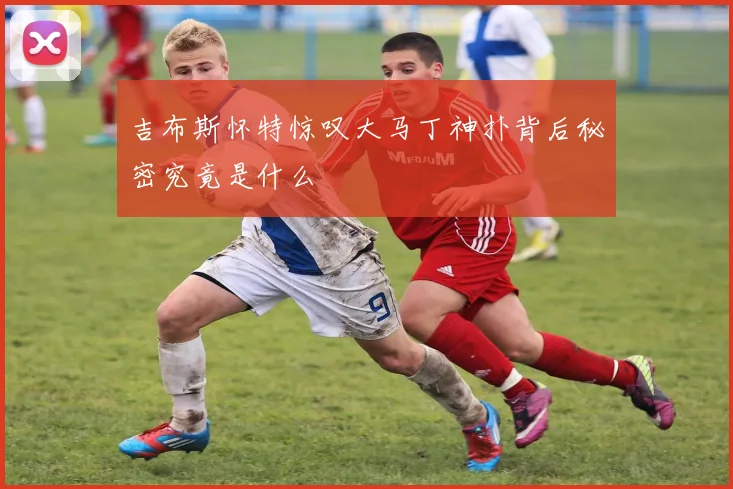 吉布斯怀特惊叹大马丁神扑背后秘密究竟是什么